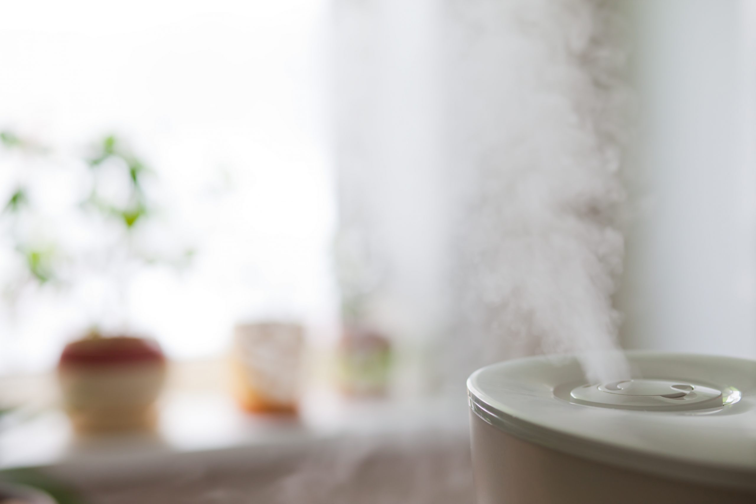 How Do I Know If My Home Needs a Humidifier to Control Humidity Levels?