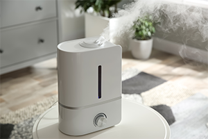 What Is a Humidifier and Why Do I Want One?￼